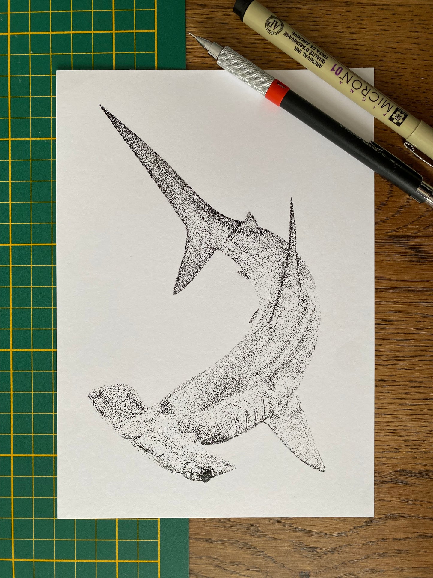 Dessin A5 - Requin marteau