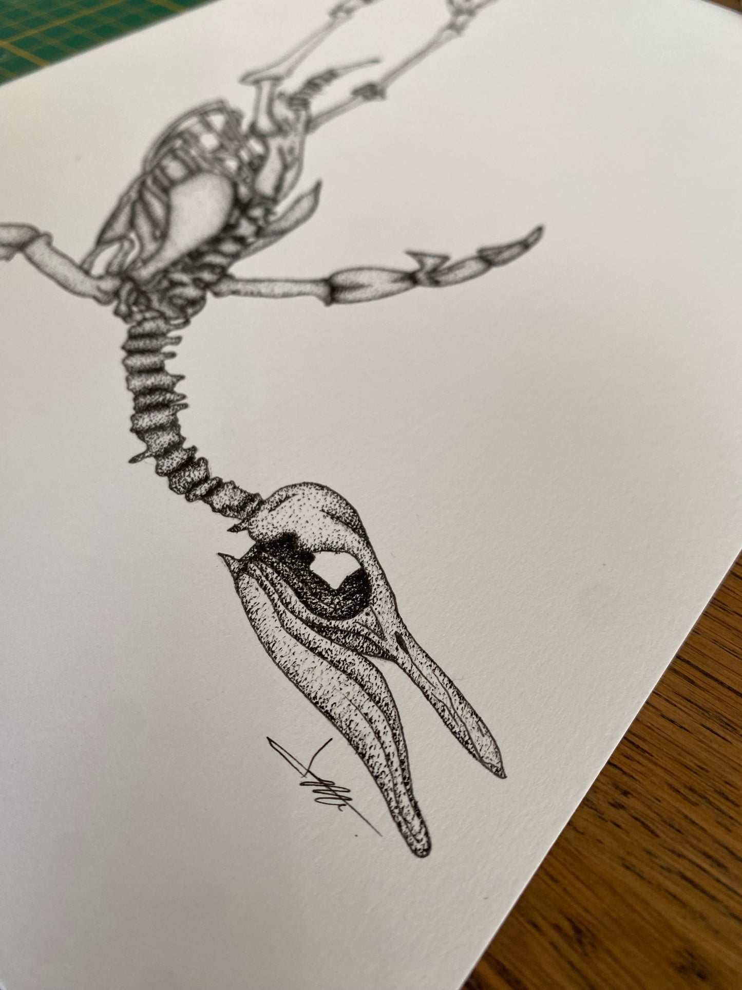 Dessin A4 - Pingouin