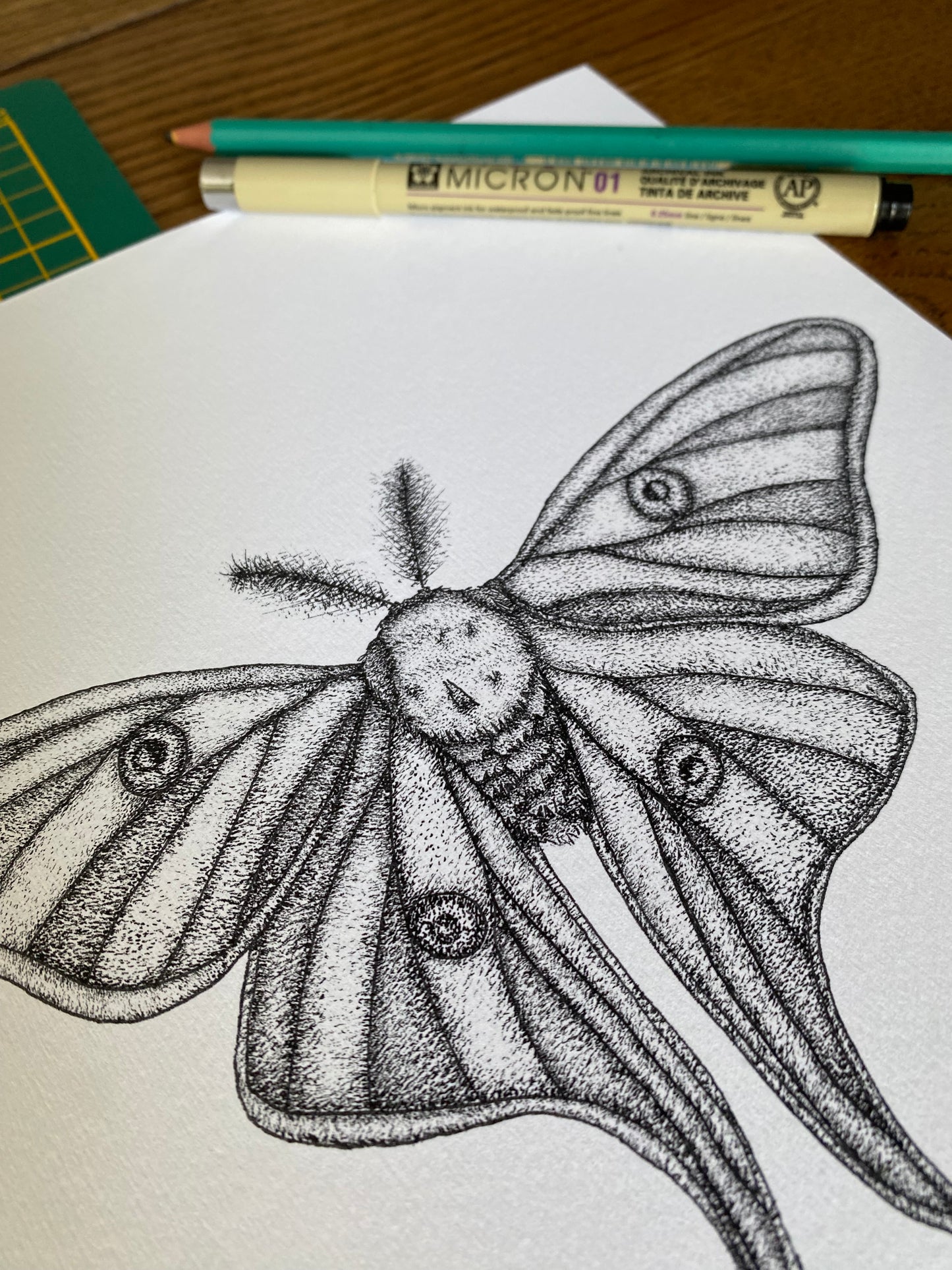 Print A4 - Papillon