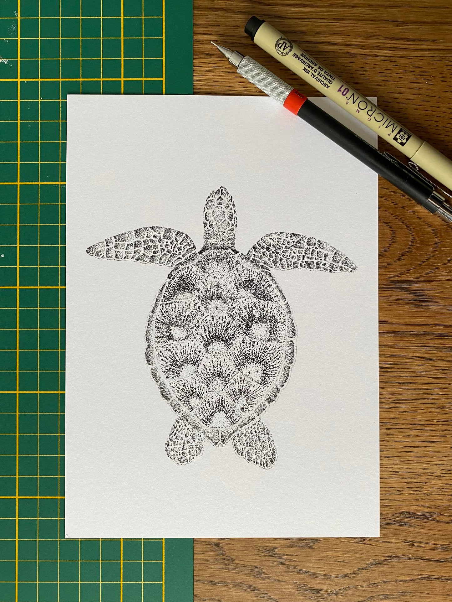 Dessin A5 - Tortue