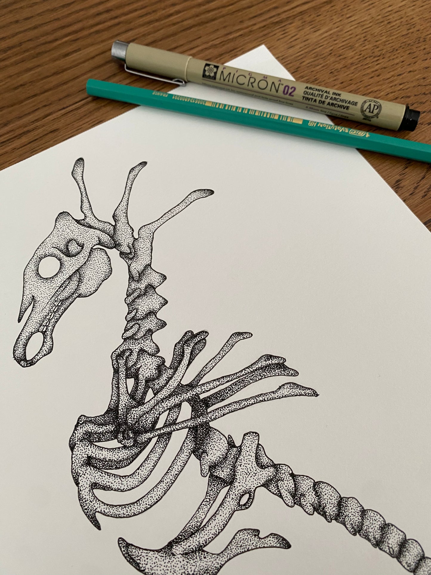 Print A4 - Hippocampe