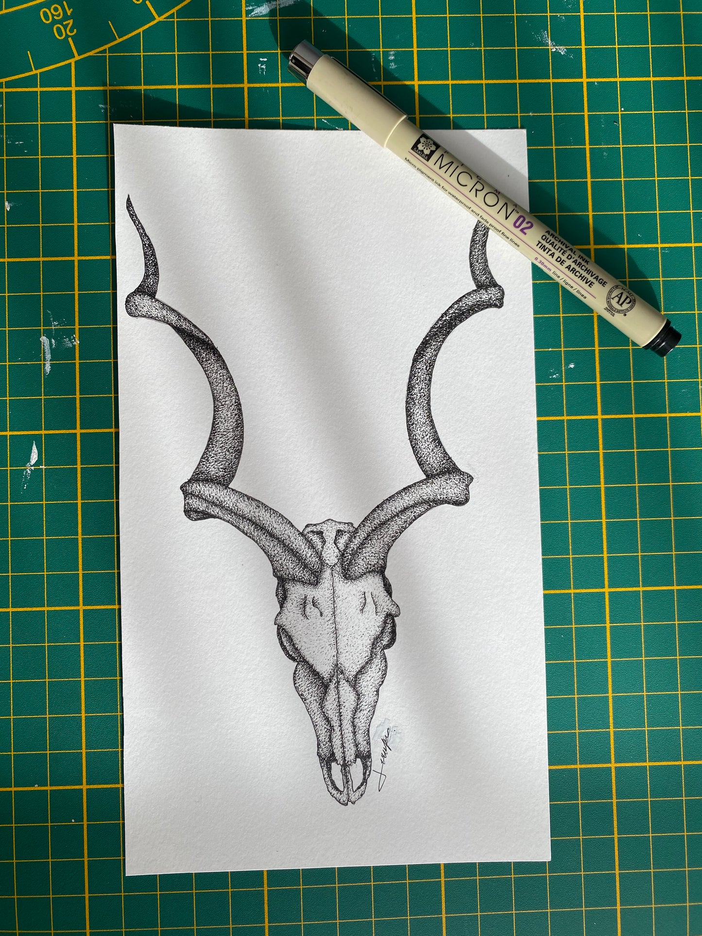 Print A5 - Gazelle