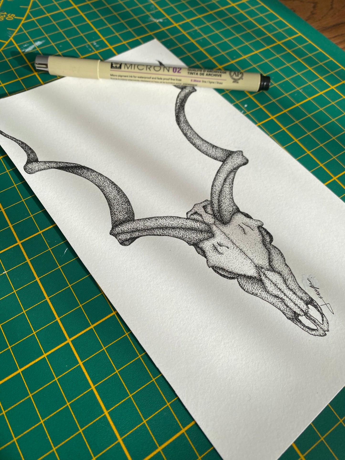 Print A5 - Gazelle
