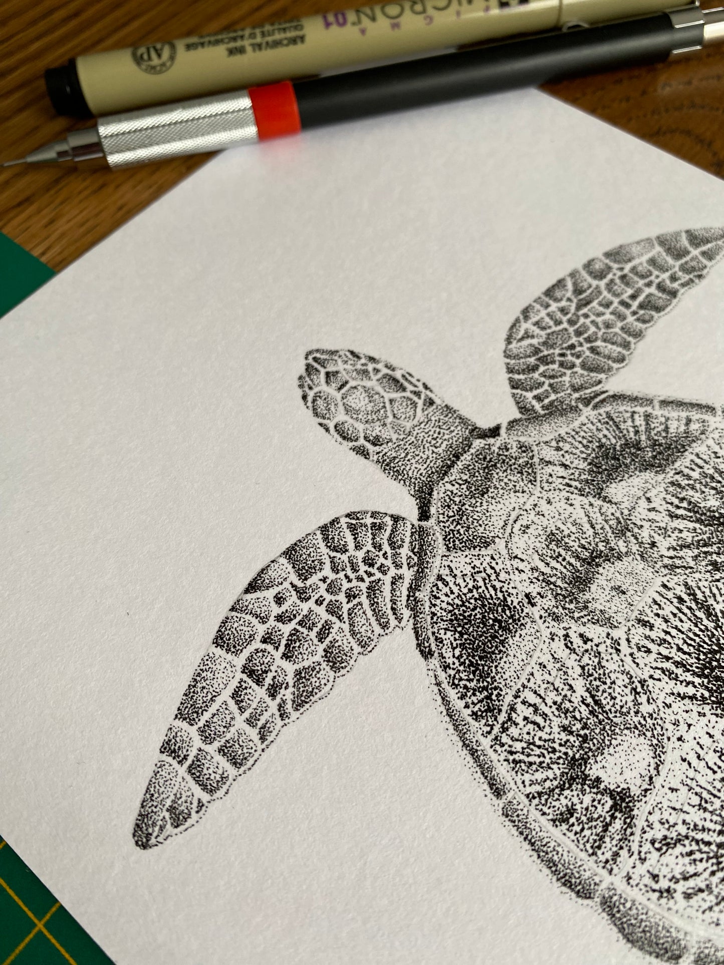 Dessin A5 - Tortue