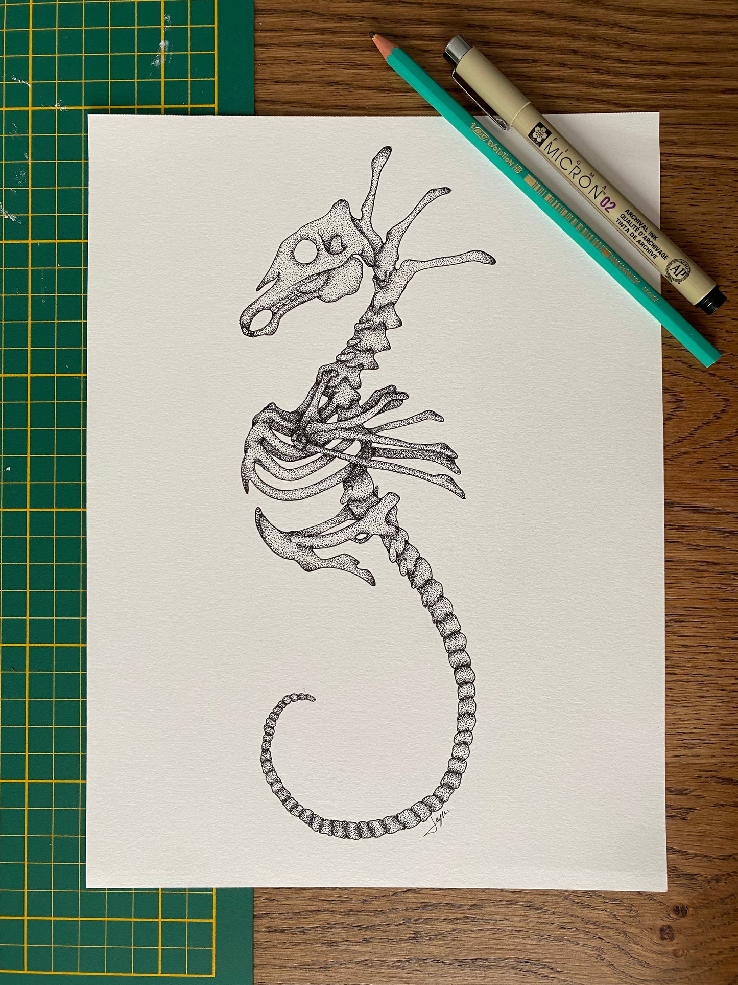 Print A4 - Hippocampe