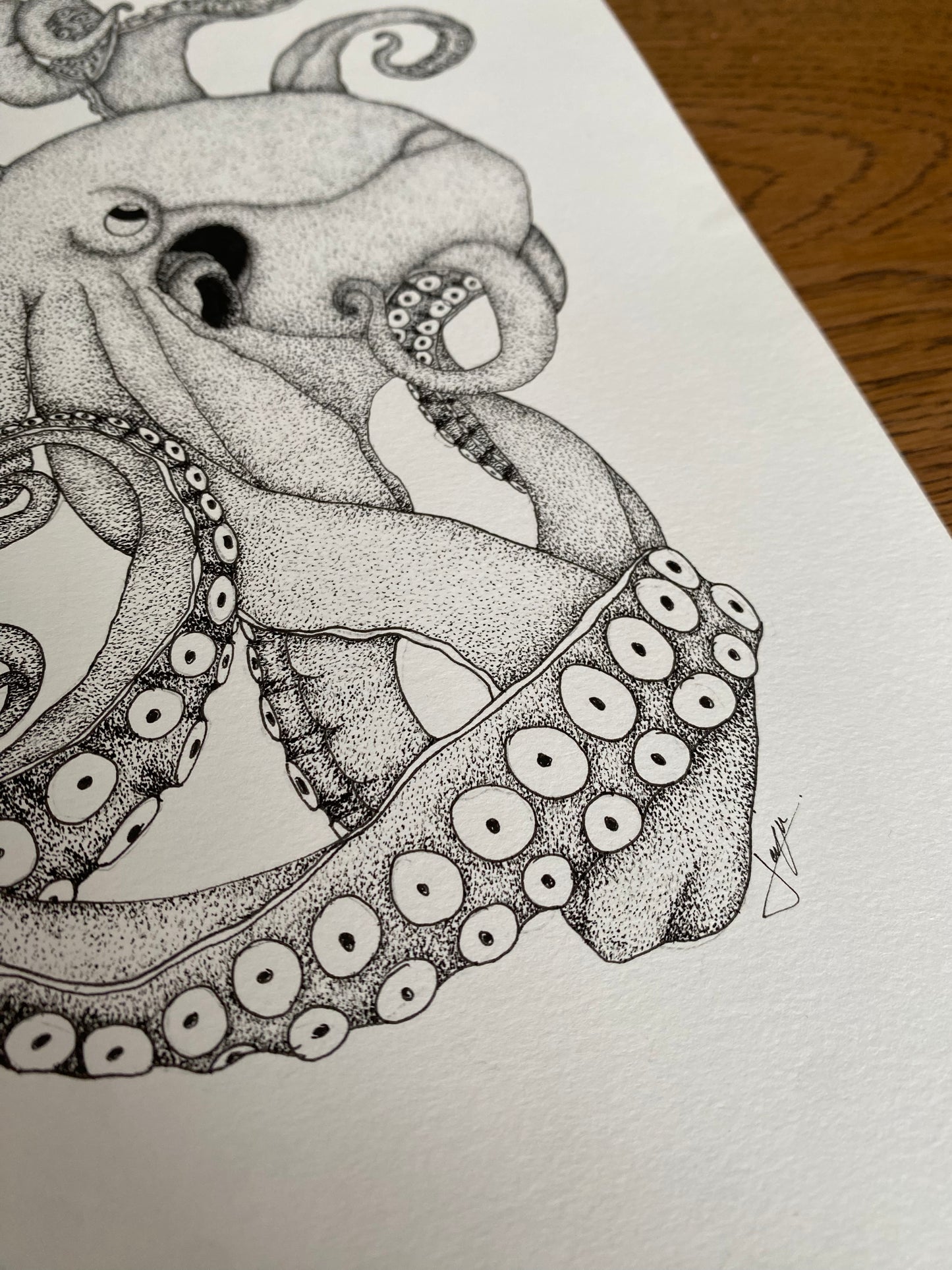 Print A4 - Octopus