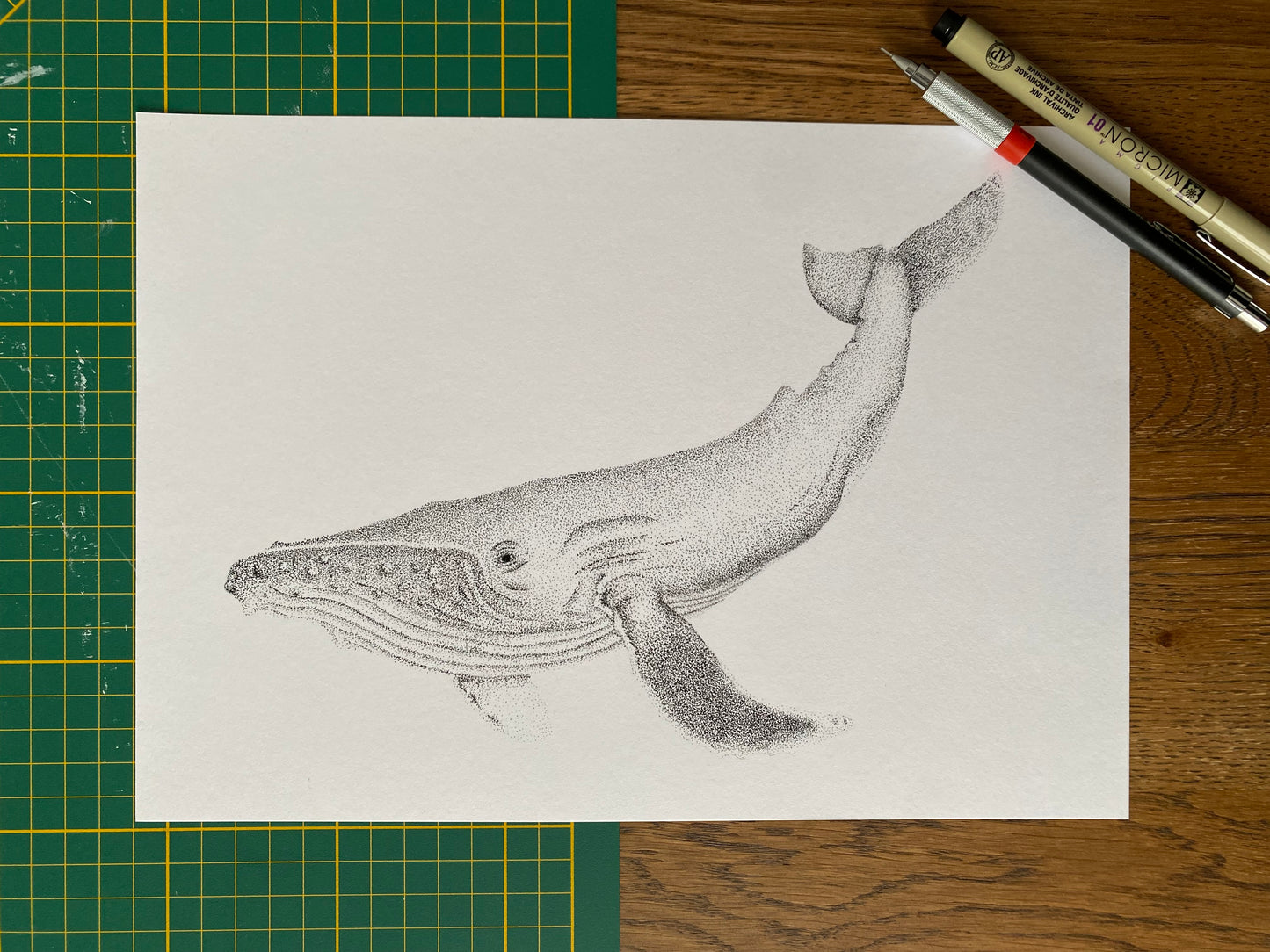 Dessin A4 - Baleine