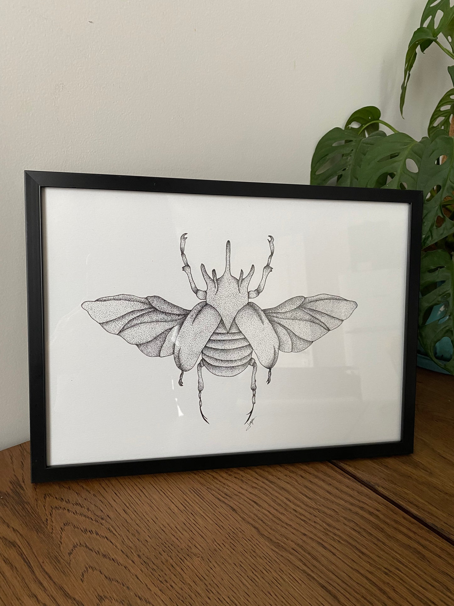 Print A4 - Coléoptères