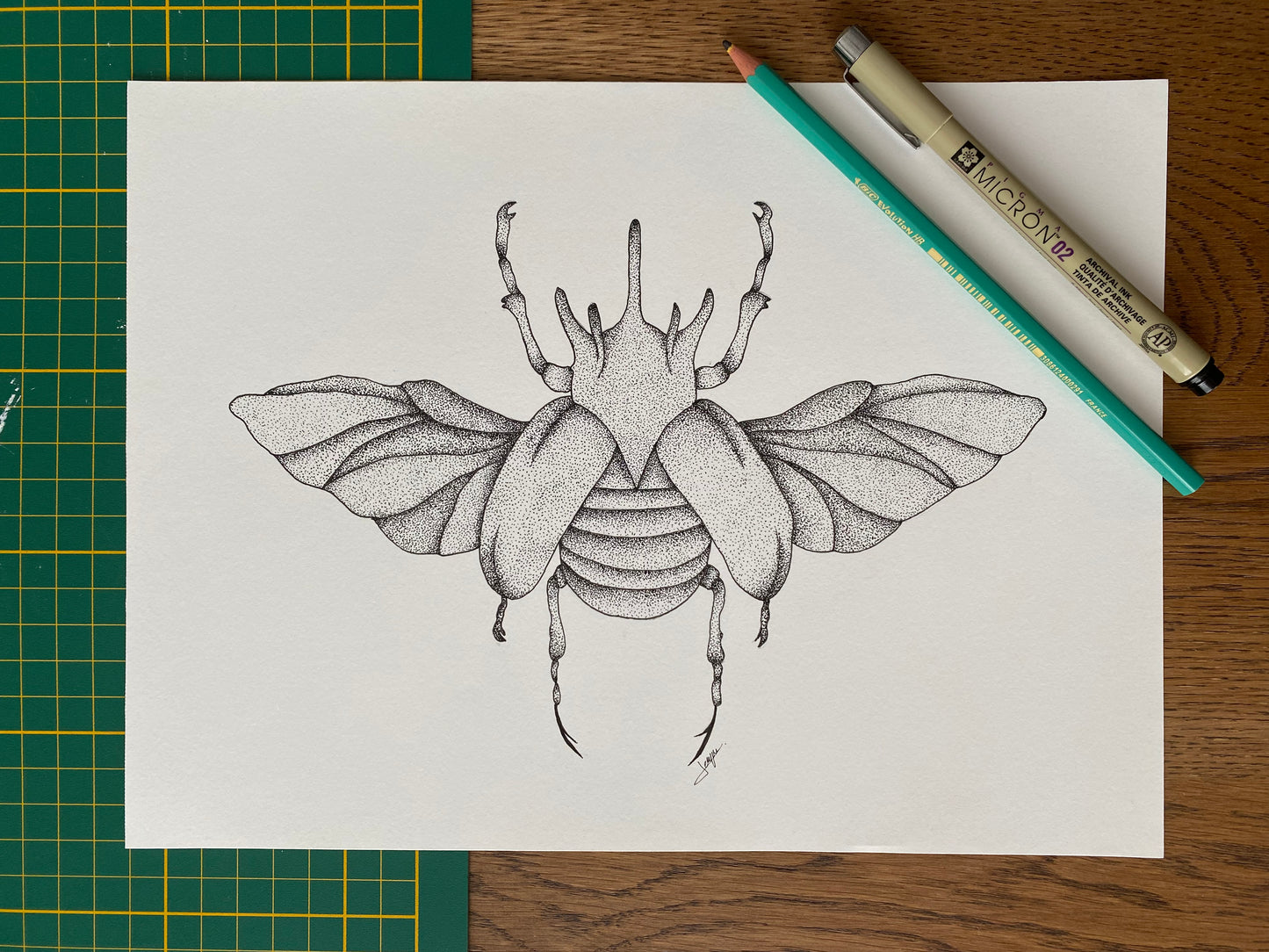 Print A4 - Coléoptères