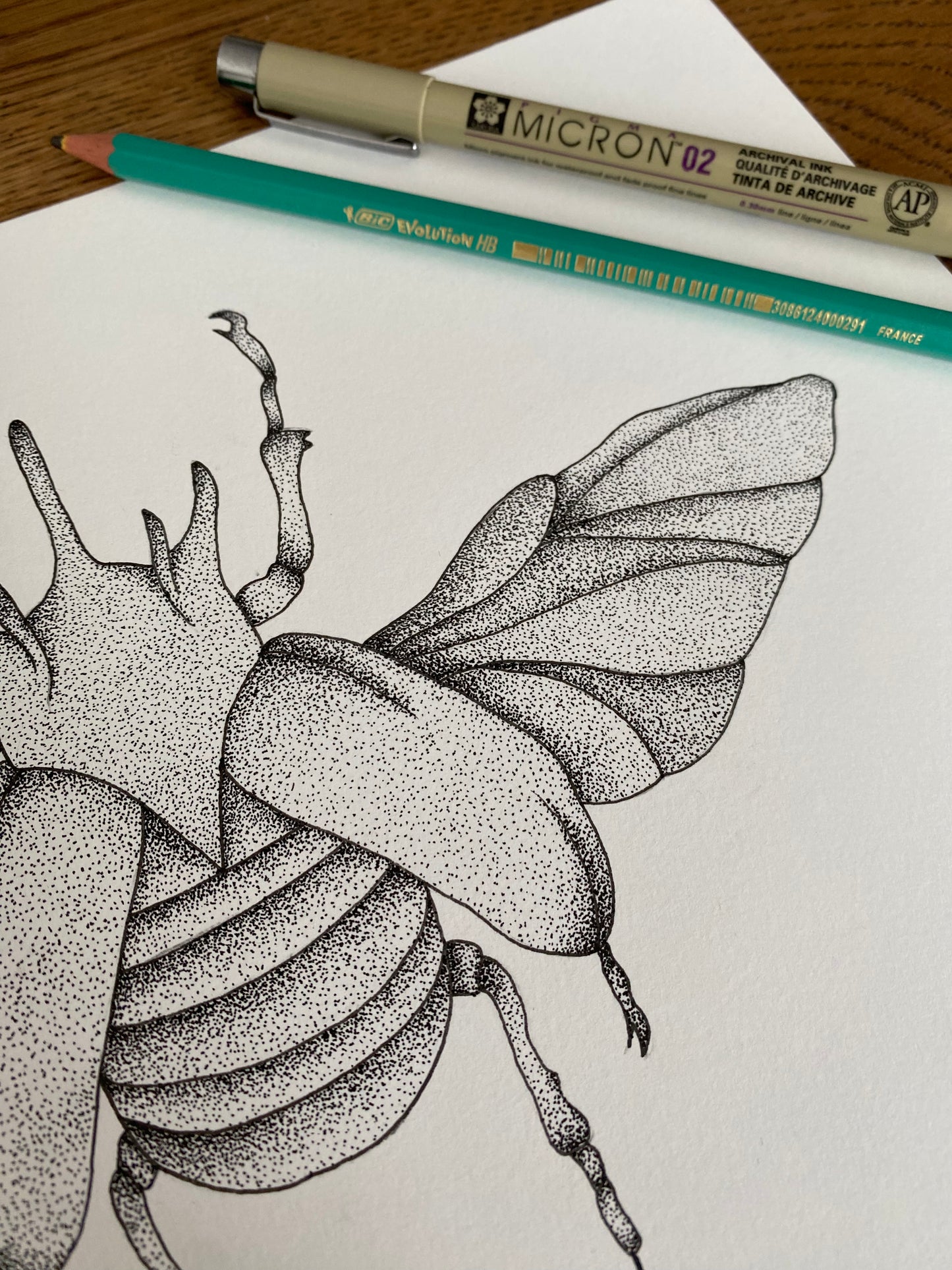 Print A4 - Coléoptères
