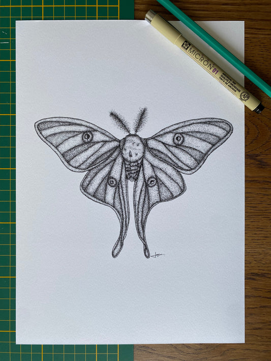 Print A4 - Papillon