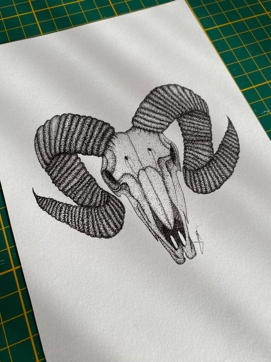 Print A5 - Belier