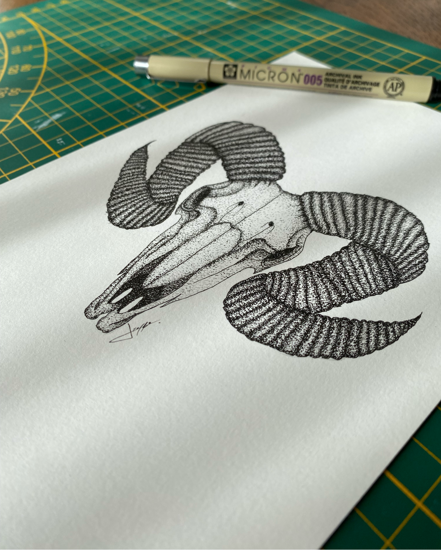 Print A5 - Belier