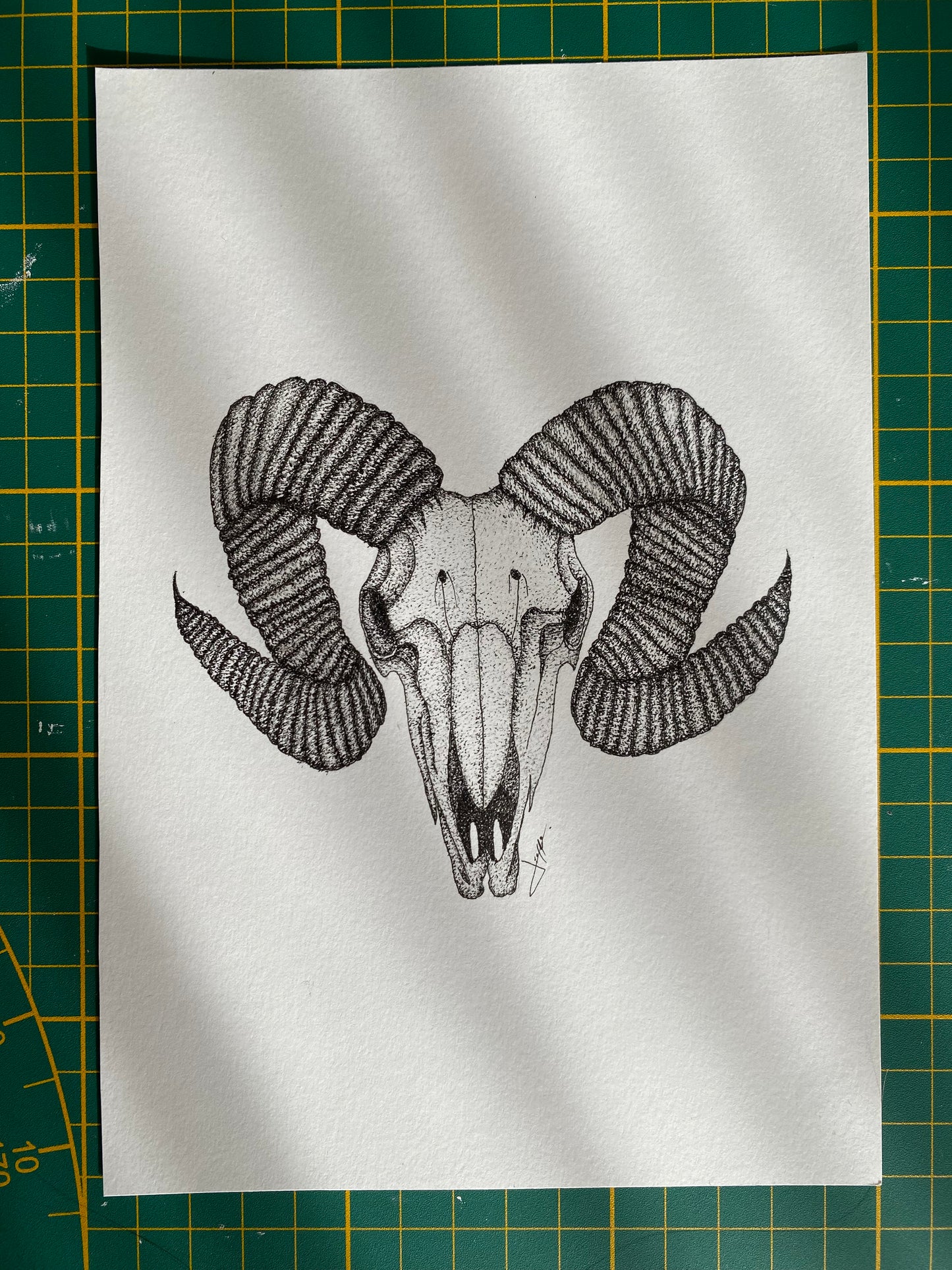 Print A5 - Belier
