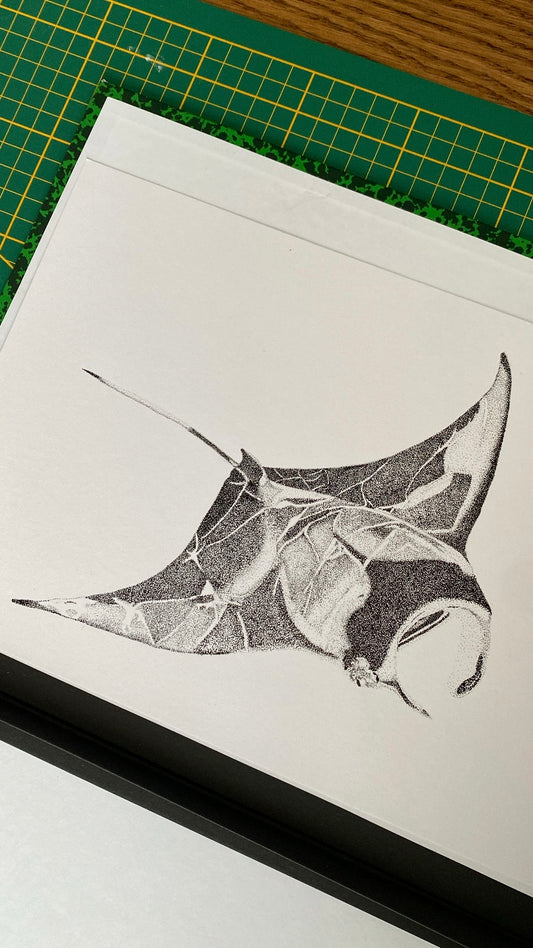 Dessin A4-Raie manta